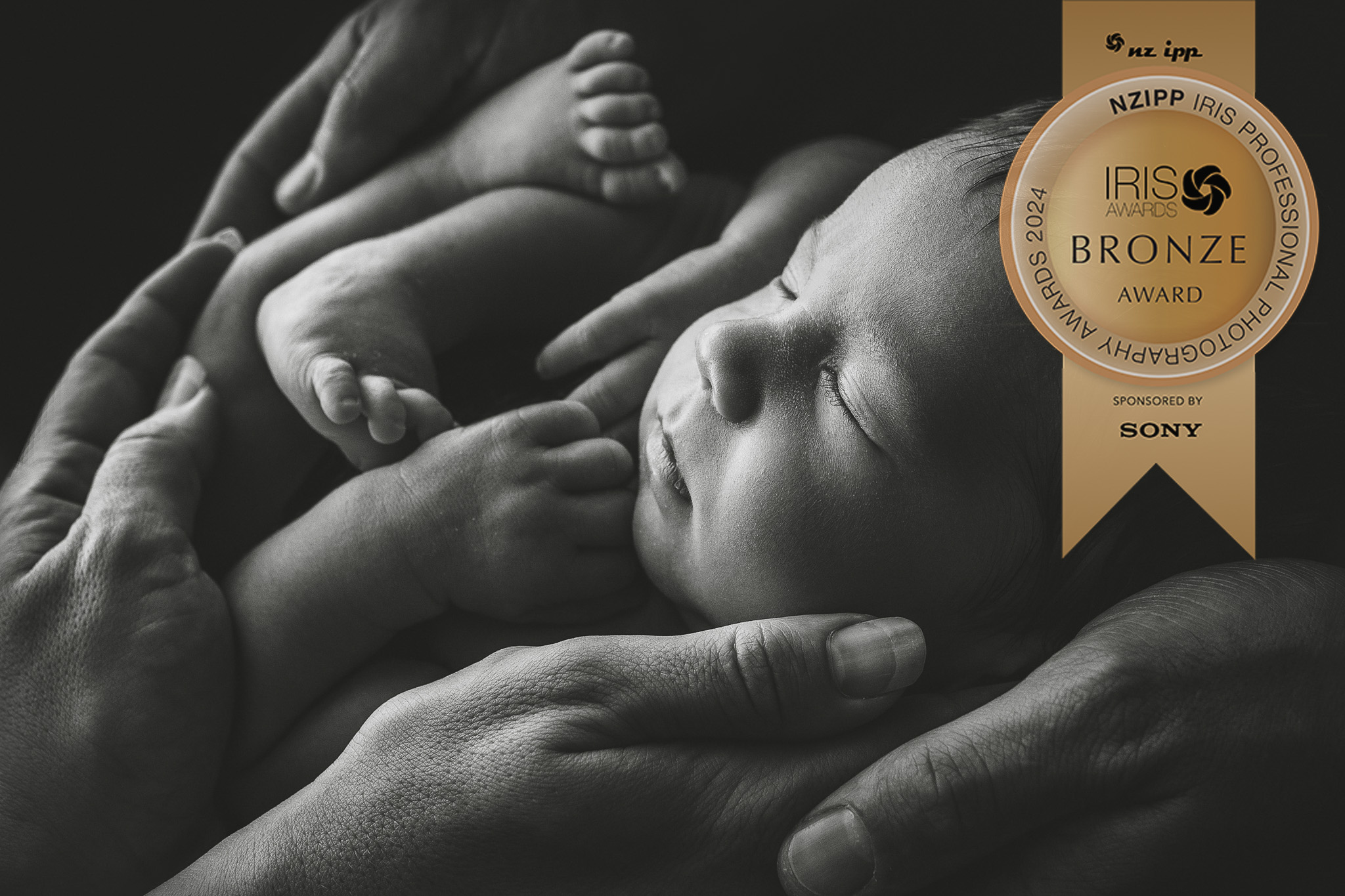 Bronze awarded image, black and white, newborn  baby in his parents hands